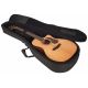 CORT GUIT ACUST GOLD-A6 NAT WCASE