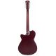 SIRE GUITARS GUIT ACUST ELECTR G5A TS S.