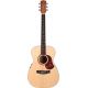MATON SRS808 WCASE