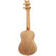 ORTEGA ART S. AC CONCERT UKELELE SPRUCECATALPA INDIA