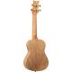 ORTEGA ART S. AC CONCERT UKELELE SPRUCECATALPA INDIA