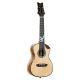 ORTEGA PRIVATE ROOM, CONCERT UKELELE EAGLESUITE-U
