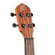 ORTEGA BONFIRE SERIES UKELELE, CONCERT, SAPELE RU4MM