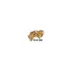 KEIKI KPVP-25RF 25 VOODOO PUPPET PICKS REFILL FOR BOX
