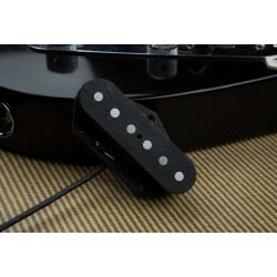 SEYMOUR DUNCAN BILLY GIBBONS GILLY