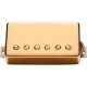 SEYMOUR DUNCAN APH-2B SLASH ALNC II PRO HB GOLD COVER