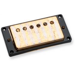 SEYMOUR DUNCAN ANTQ HUMBKR NECK GOLD COVER