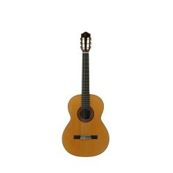 JOSE TORRES B-STOCK GUIT CLASICA JTC-100