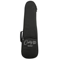 CARRY ON BASS GIG BAG