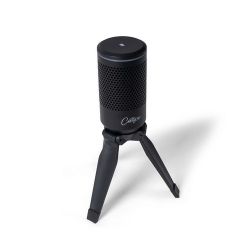 CARRY ON FOLDABLE USB MICROPHONE BLACK