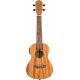 ORTEGA UKELELE RFU10ZE