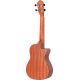 ORTEGA UKELELE RU5CE-L