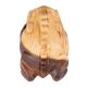 NINO PERCUSSION WOOD FROG GÜIRO, SMALL, NATURAL NINO513NT