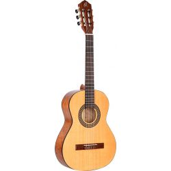 ORTEGA RSTC5M-34 CEDAR TOP NAT