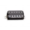 SEYMOUR DUNCAN ALEX SKOLNICK SIGNATURE NECK OR BRIDGE