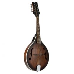ORTEGA MANDOLIN, A-STYLE, WHISKEY BURST RMA30-WB