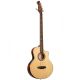 ORTEGA KTSM2-5 THINLINE, MEDIUM SCALE, 5STRING