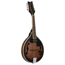 ORTEGA MANDOLIN, A-STYLE,WHISKEY BURST,ELECTRO RMAE30-WB