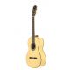 JOSE TORRES GUIT FLAMENCA JTF-30