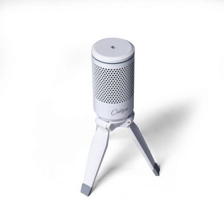 CARRY ON FOLDABLE USB MICROPHONE WHITE